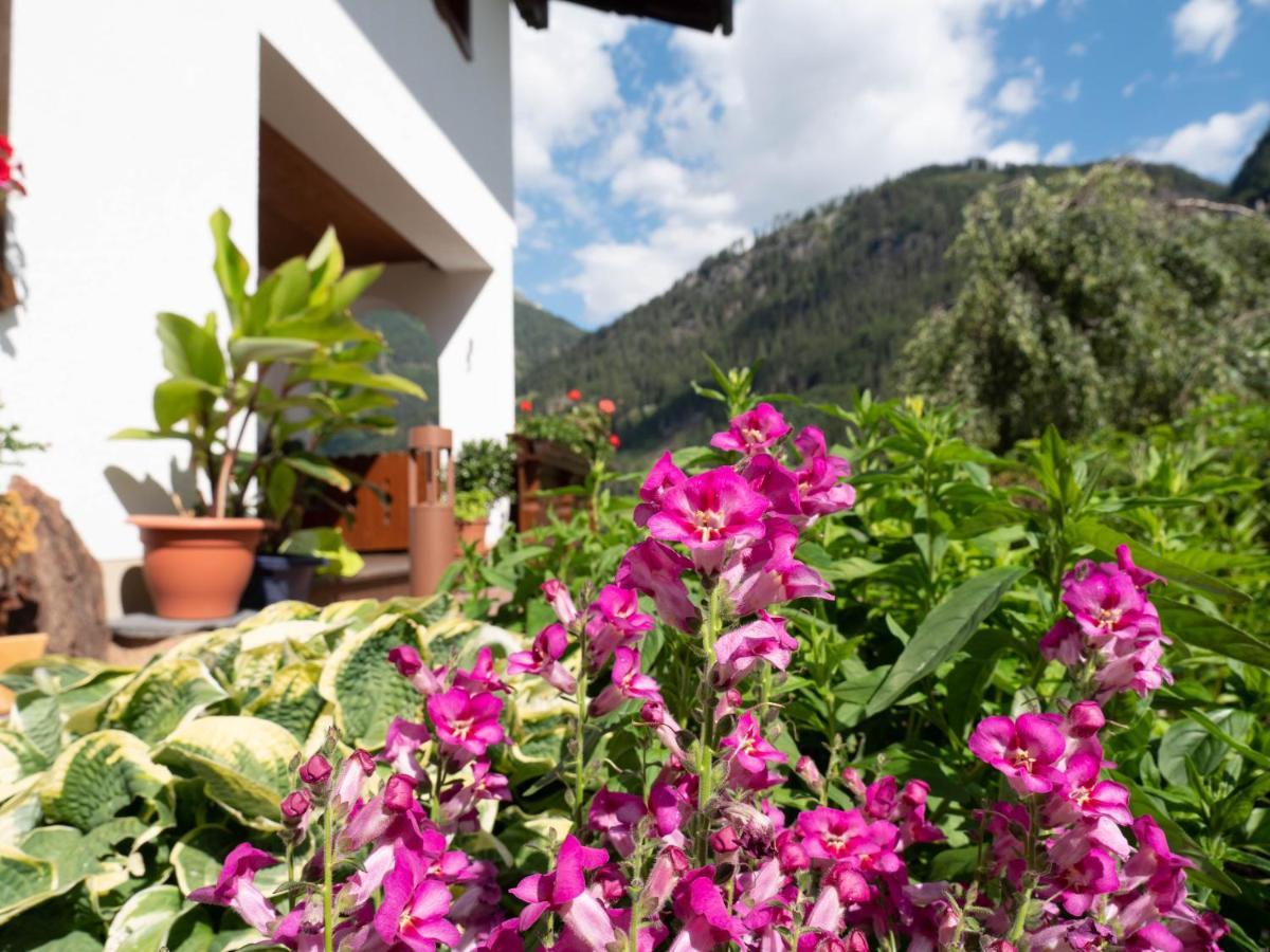Апартаменти Haus Marianne Санкт-Якоб-ін-Деферегген Екстер'єр фото